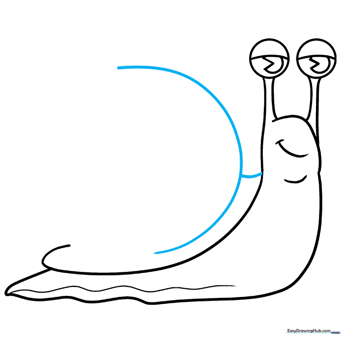 A large C-shaped curve added to the back of the snail to form the shell.