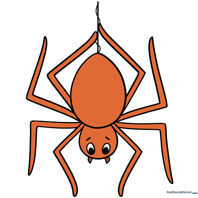 A fully colored, friendly cartoon spider character.