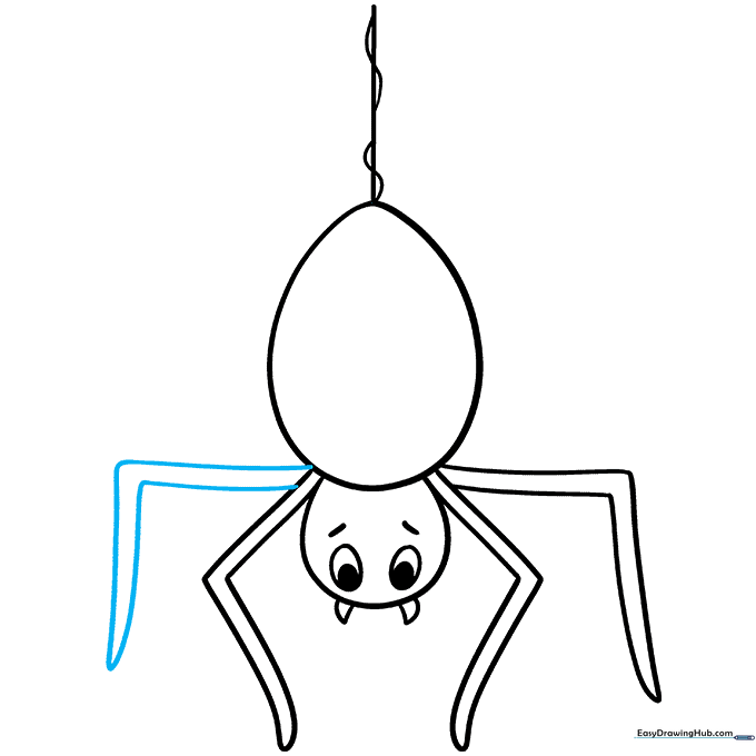 Drawing the first pair of bent spider legs using parallel lines.