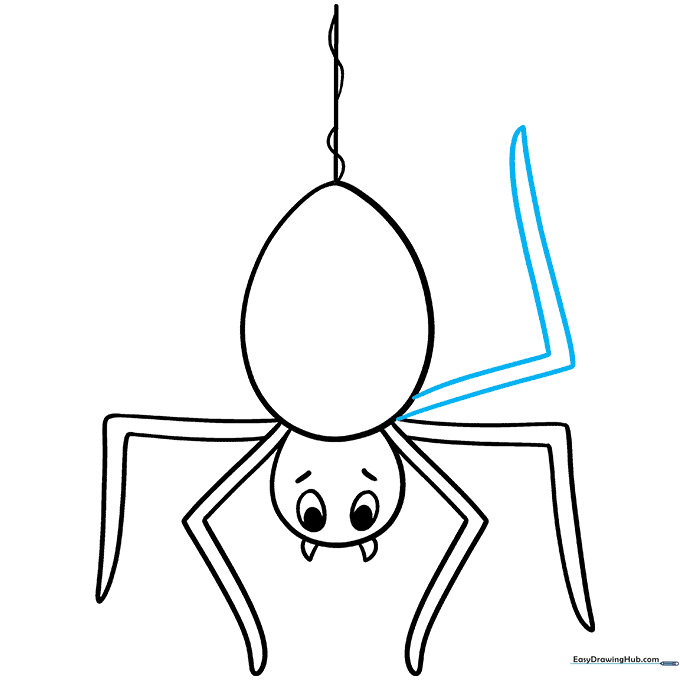 Adding a second set of legs on the opposite side of the spider's body.