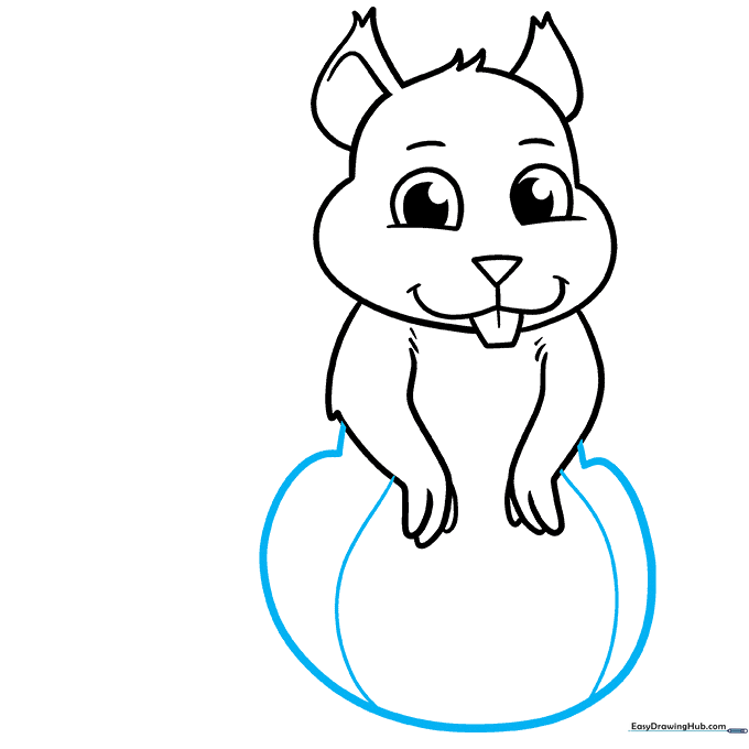Outlining the squirrel's torso and belly with a long curved line.