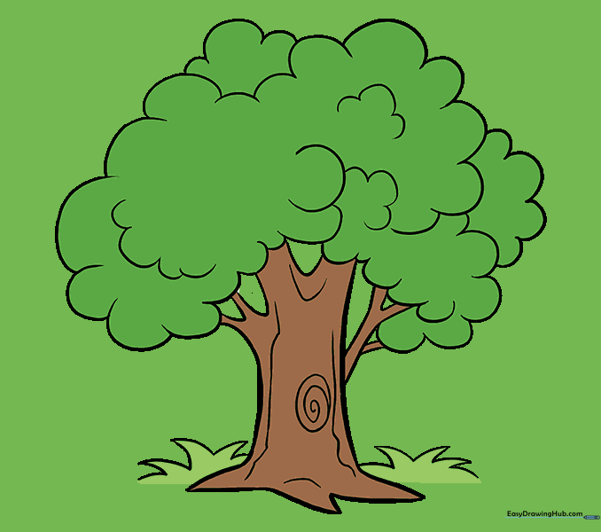 A fully colored, vibrant cartoon tree in a grassy meadow.