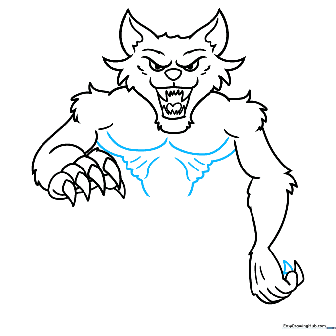 Werewolf torso sketch showing rib cage details and fur texture lines.