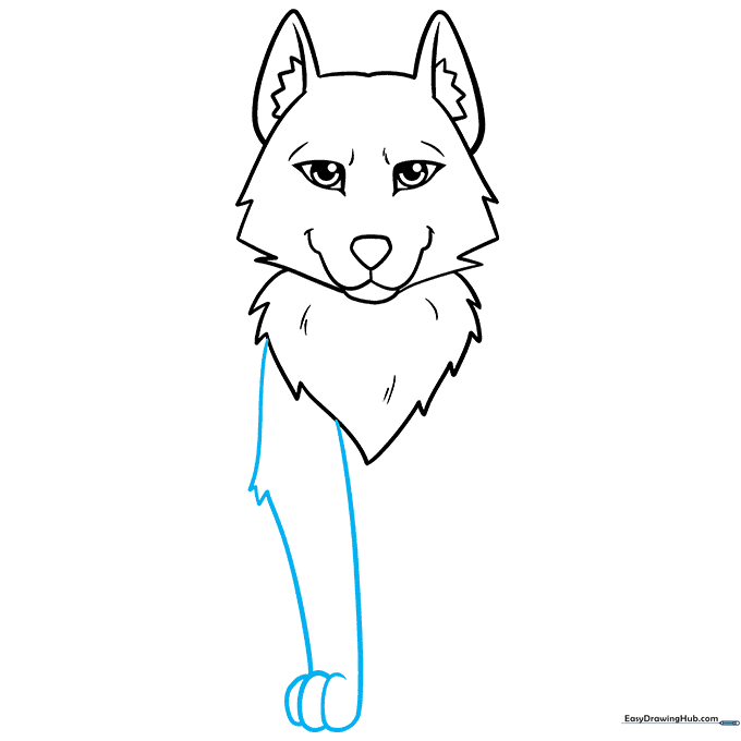 Drawing of a single wolf foreleg with paw details.