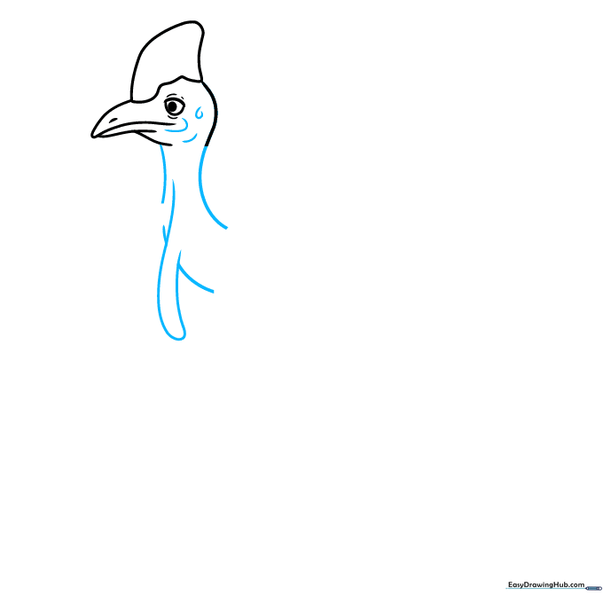 Sketching the long neck and the start of the hanging wattles on the cassowary.