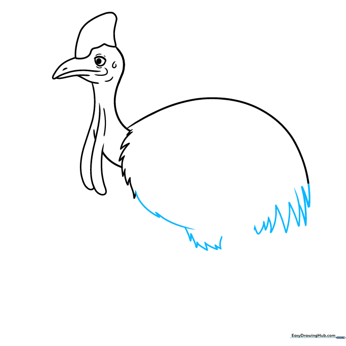 Outlining the belly and the upper leg structure of the cassowary.