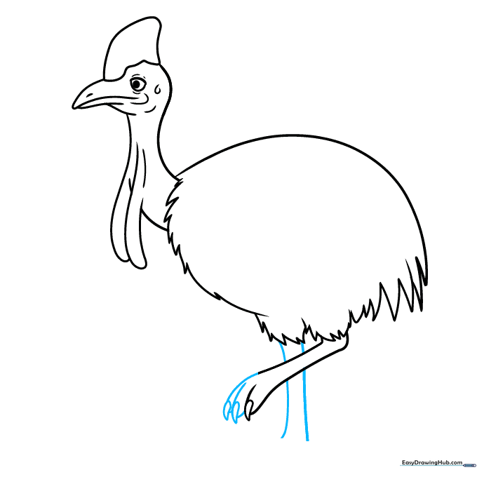Drawing the multiple toes and claws of the cassowary foot.
