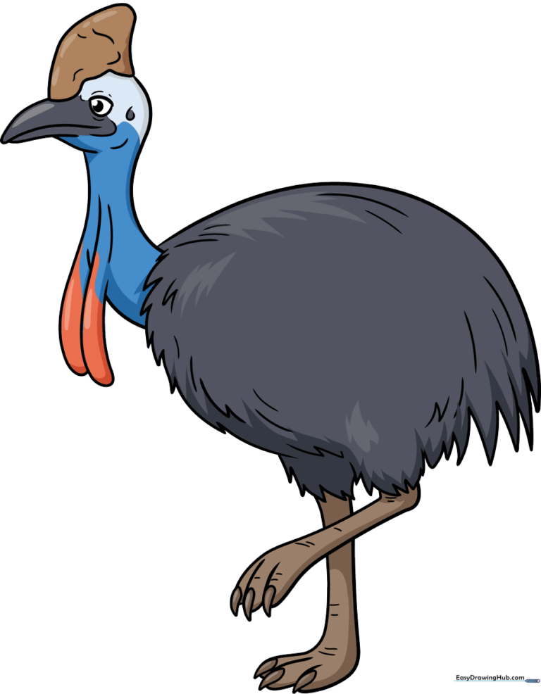 Colorful, finished drawing of a cassowary standing in profile.