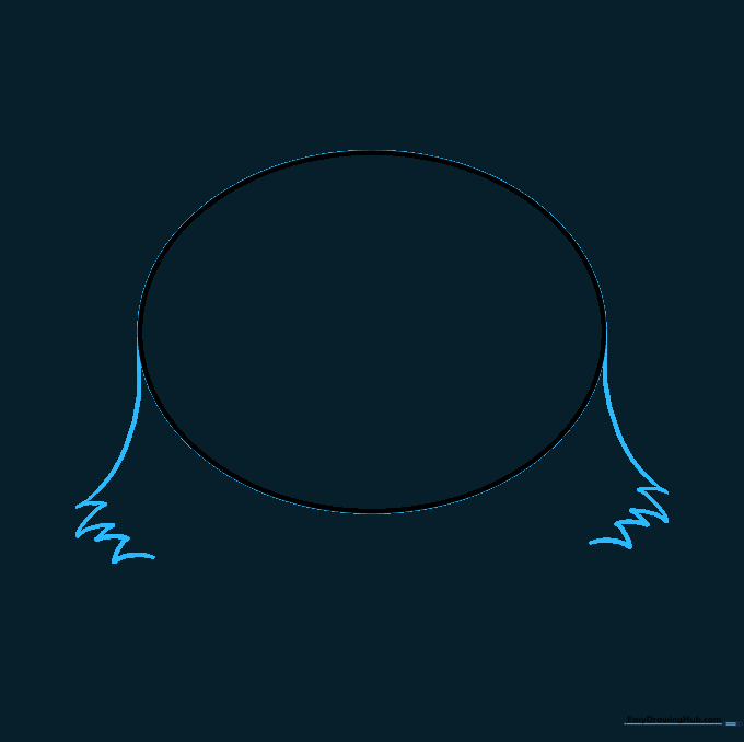 Drawing the cat's cheeks with jagged, fur-like lines extending from the oval.