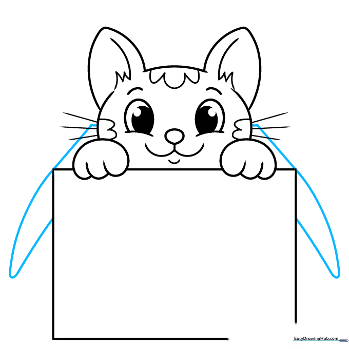 Completed line drawing of the cat sitting inside a cardboard box with flaps.
