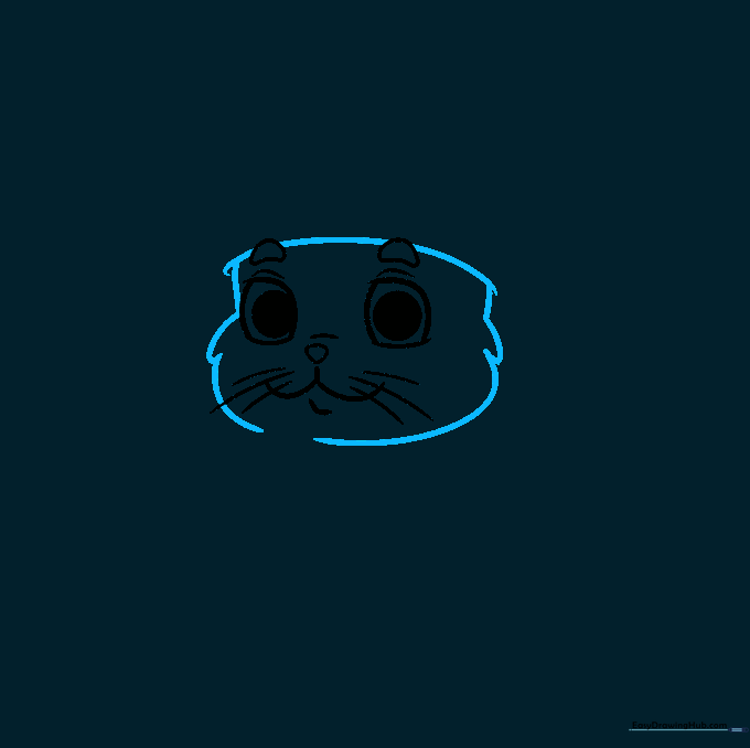 Drawing the outline of a cat's head with textured fur lines on the cheeks.