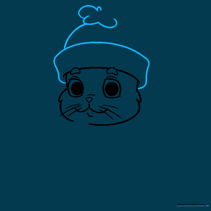 Adding a winter beanie hat with a pom-pom to the cat's head.