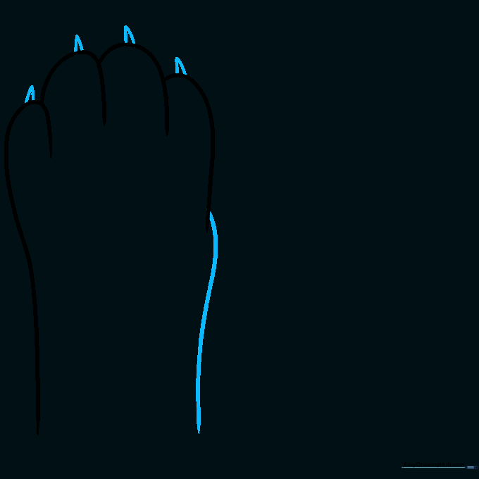 Adding small, sharp triangle shapes to the top of the paw outline to represent cat claws.