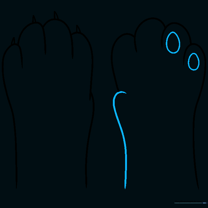 Drawing the internal toe pads using oval shapes inside the paw outline.