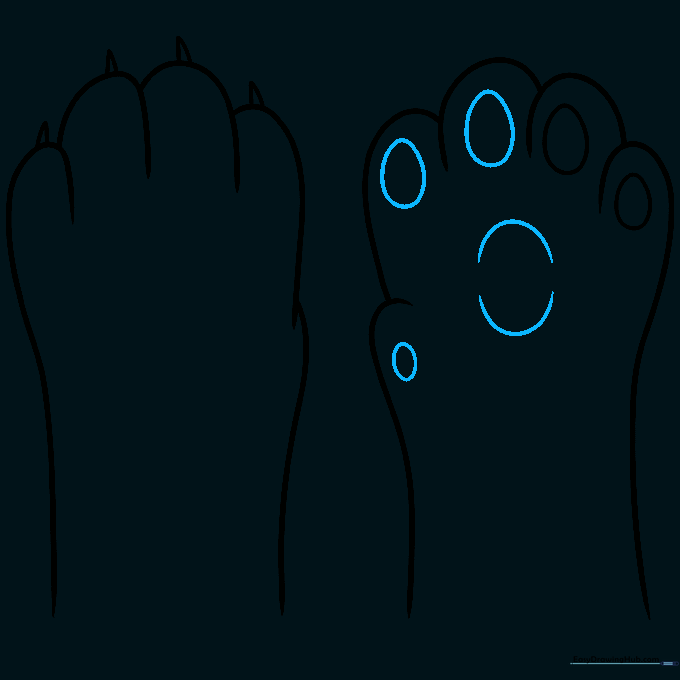 Adding smaller oval and egg-shaped details to the center of the paw for the main pad.