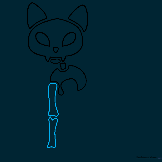 Drawing of the upper and lower bones of a cat's front leg.