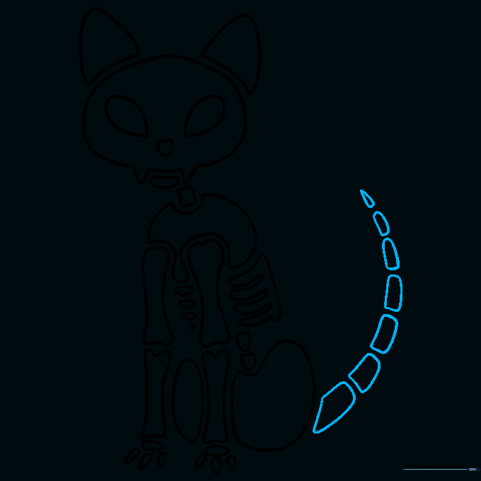 Drawing of the cat's tail bones, showing segments tapering to a point.