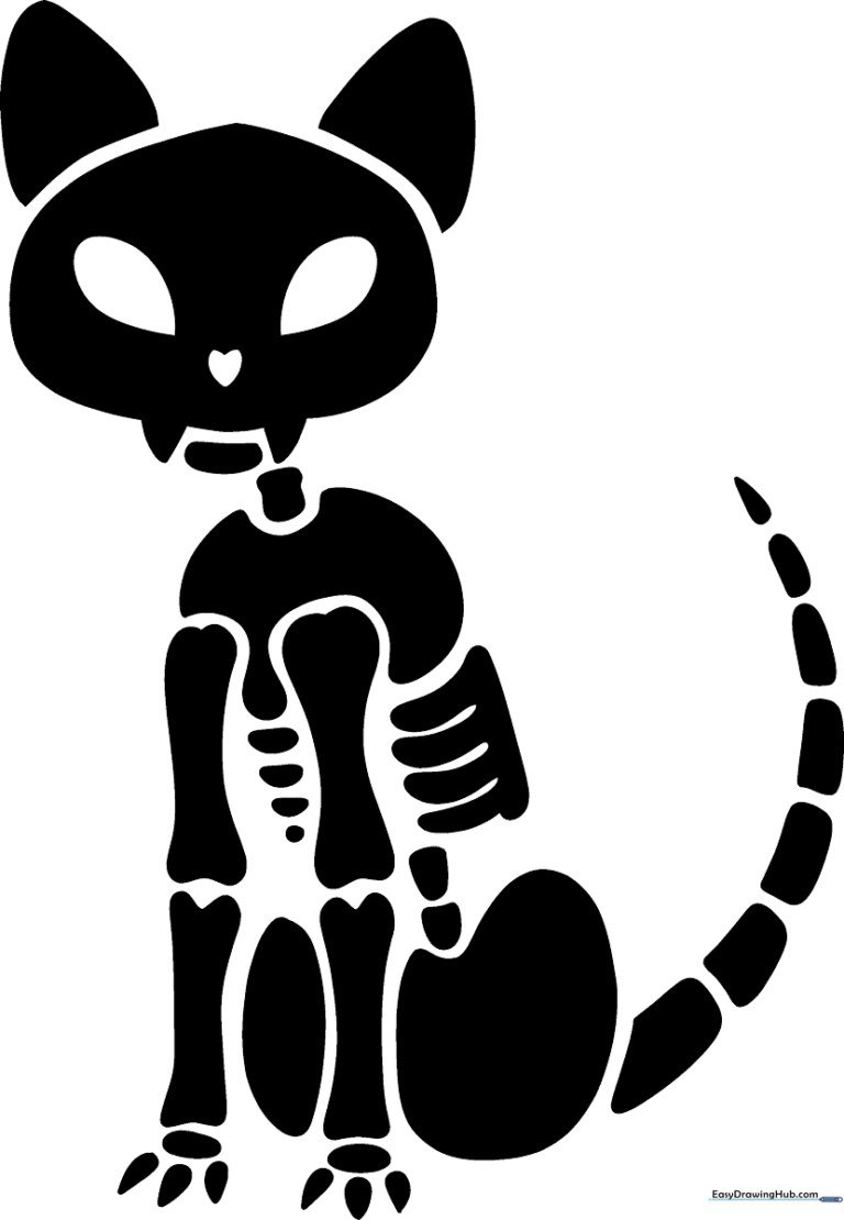 A complete, stylized drawing of a cat skeleton against a dark background.