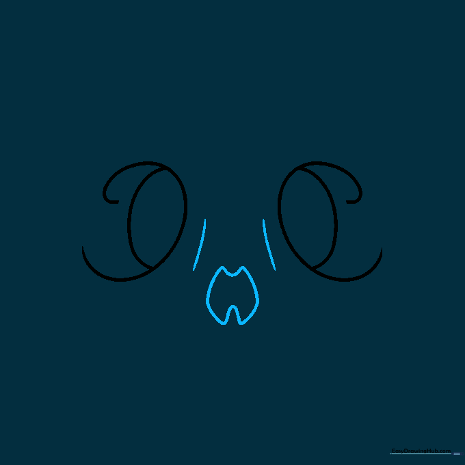 Drawing the central nasal cavity of the cat skull using diamond-shaped loops.