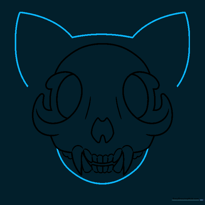 Adding cat ears and a chin to the skull structure.