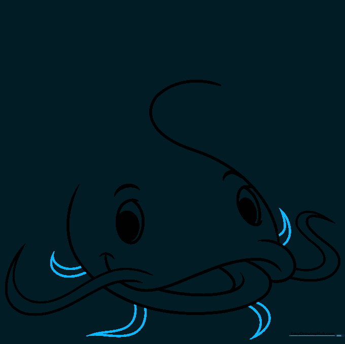 Detailed view of the catfish face with multiple pointed whiskers added around the mouth.