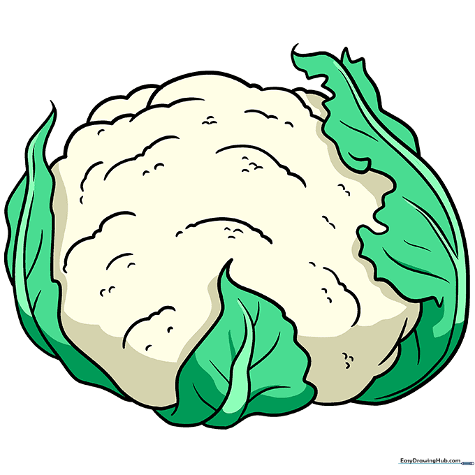 A fully colored, realistic cauliflower drawing with white florets and green leaves.
