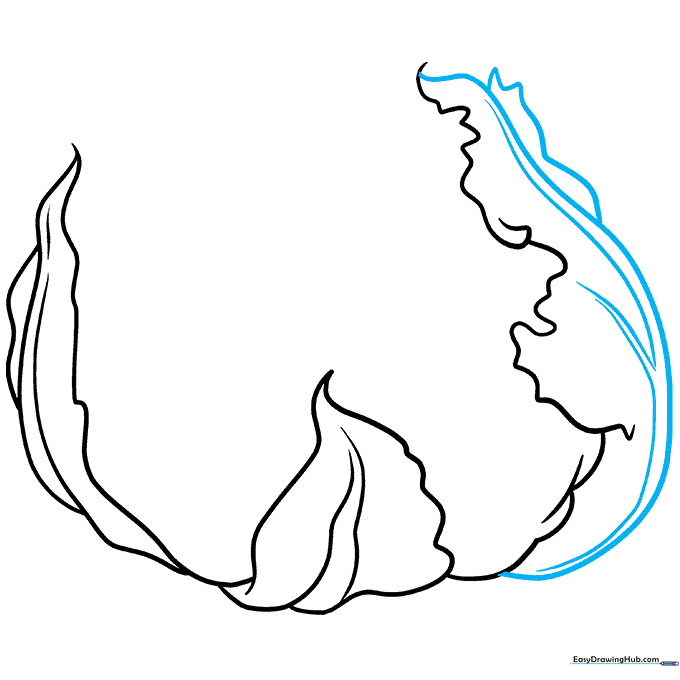 Drawing detailed veins on the cauliflower leaves using V-shaped lines.