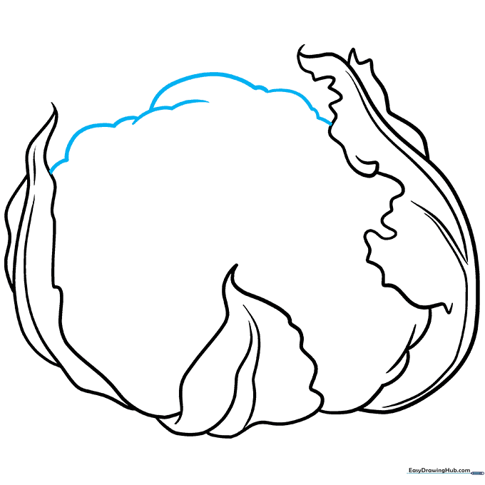 Defining the rounded top of the cauliflower with overlapping curved lines.