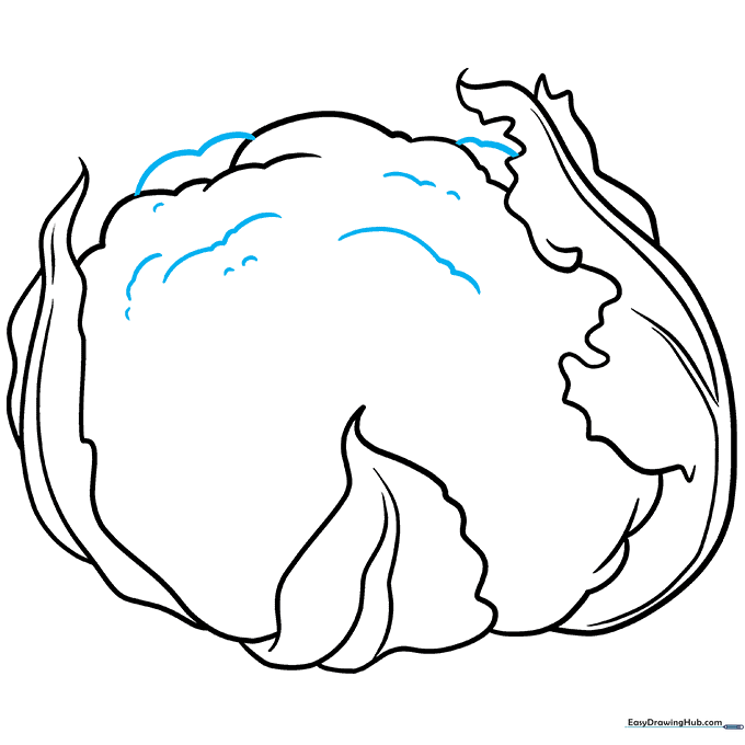 Adding U-shaped texture lines to the surface of the cauliflower florets.
