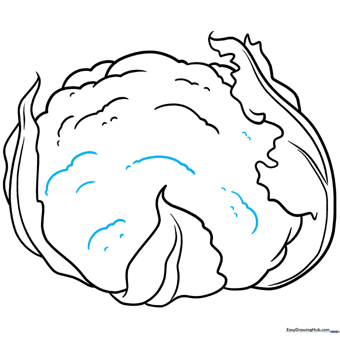 Adding more detailed curved lines to build the texture of the cauliflower head.