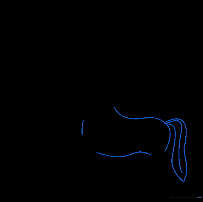Refining the horse body shape and adding a flowing tail to the centaur.