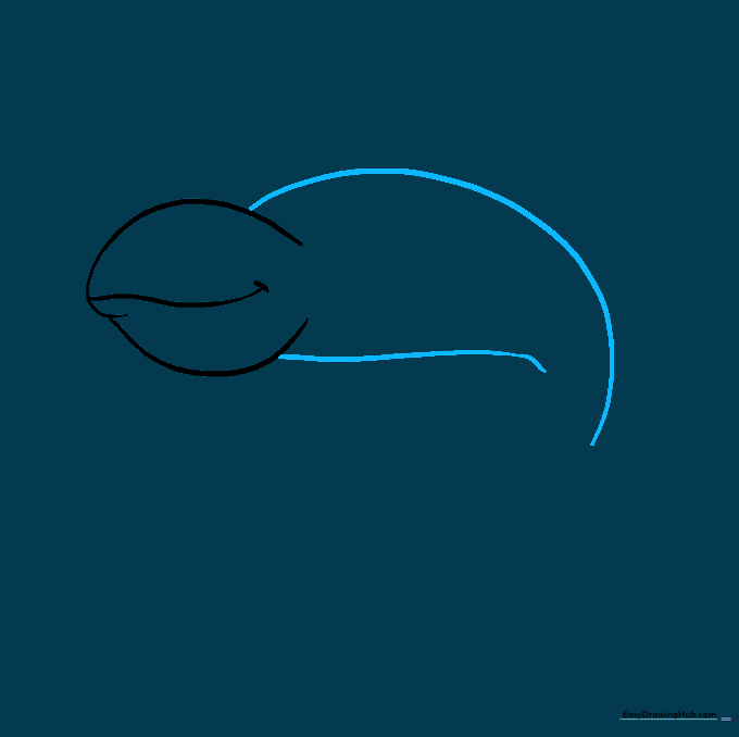 Chameleon body outline extending from the head, showing the start of the back and belly.