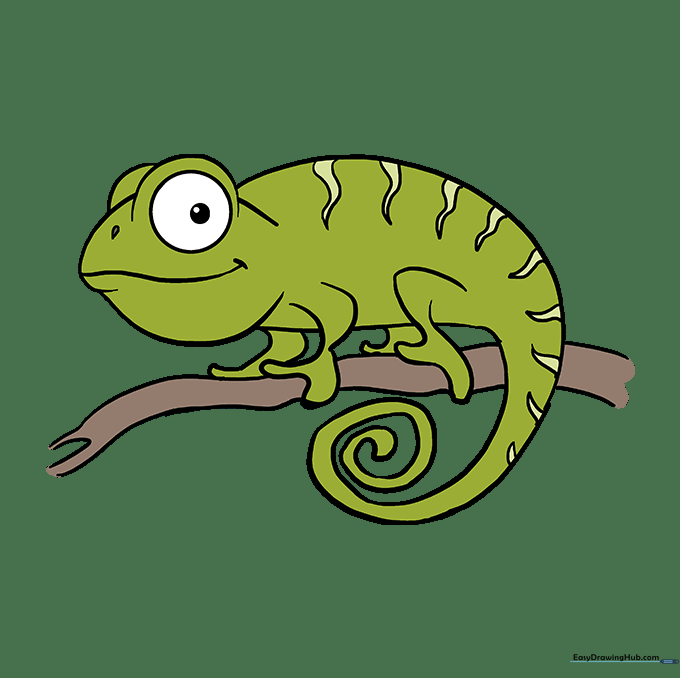 Final colored illustration of a vibrant chameleon on a branch.