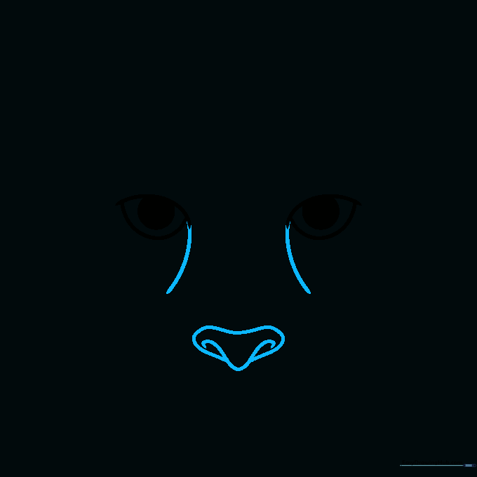 Drawing the small, rounded nose of a cheetah centered below the eyes.