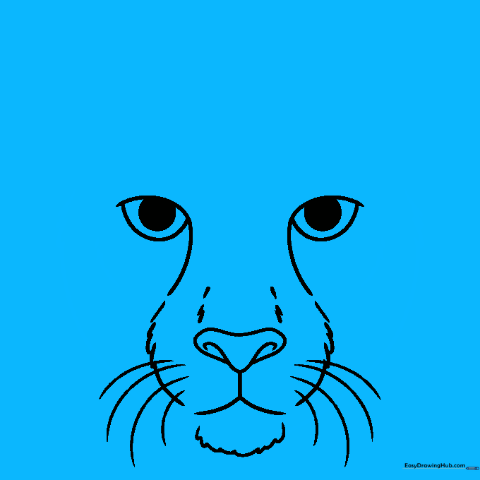 Drawing the outer cheek lines and adding jagged fur texture.