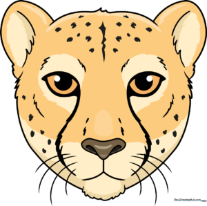 Finished, colorful drawing of a friendly cheetah face.