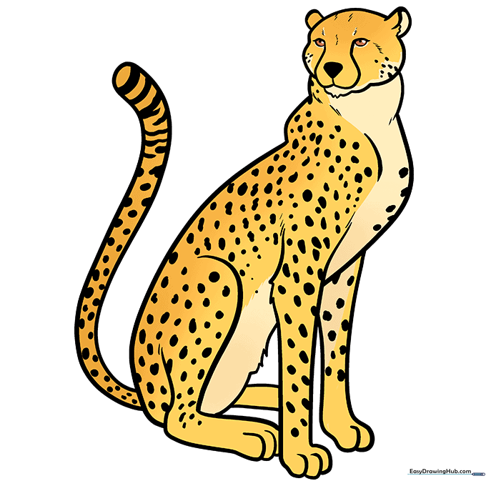 A fully colored, realistic cheetah drawing with tan fur and black spots.