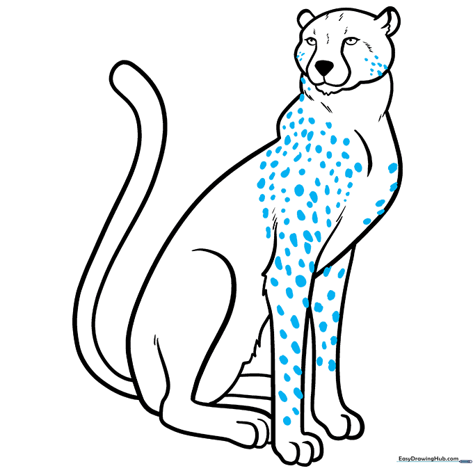 Adding irregular spot patterns to the cheetah's body.