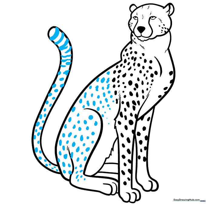 Finalizing the drawing with tail stripes and additional body spots.