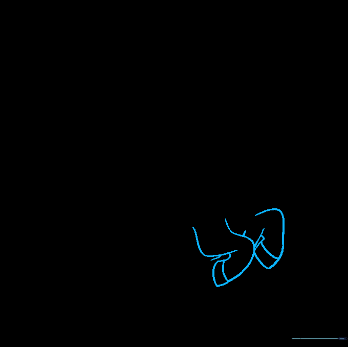 Drawing the front legs and hoof details