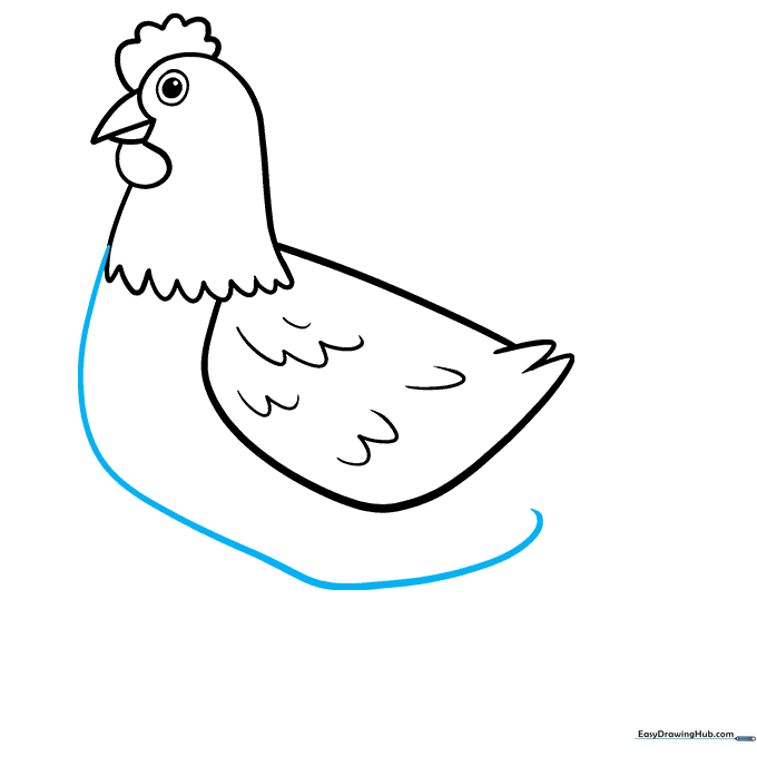 Drawing the smooth curve of the chicken's belly.