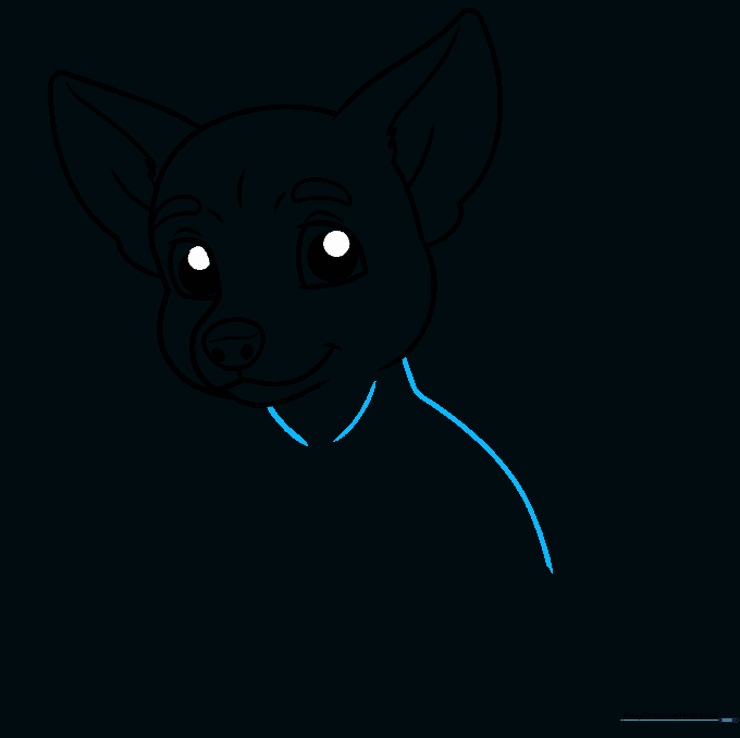 Drawing of the Chihuahua head connected to the back and neck line.