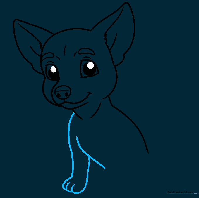 Outline of the Chihuahua chest and the first front leg with paw details.