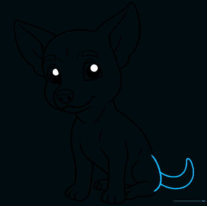Completed outline of the Chihuahua with tail added.