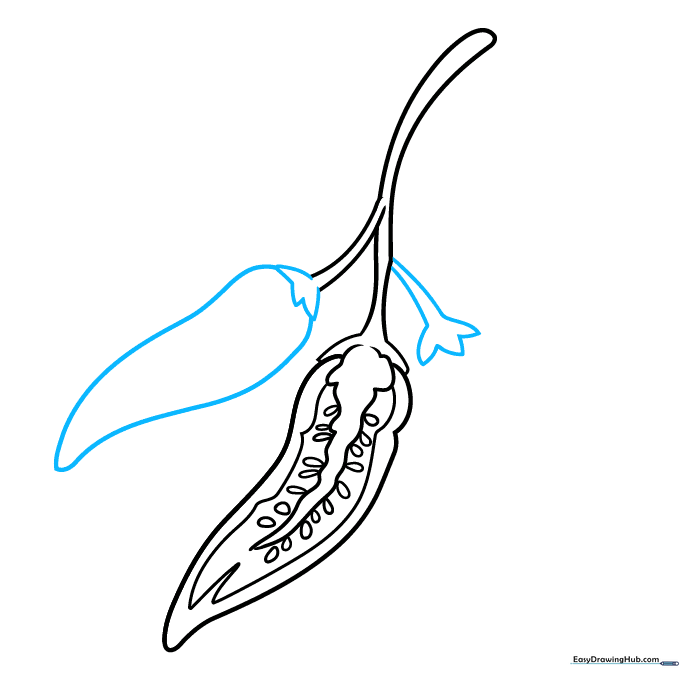 Pencil sketch showing the addition of a second pepper cap and body.