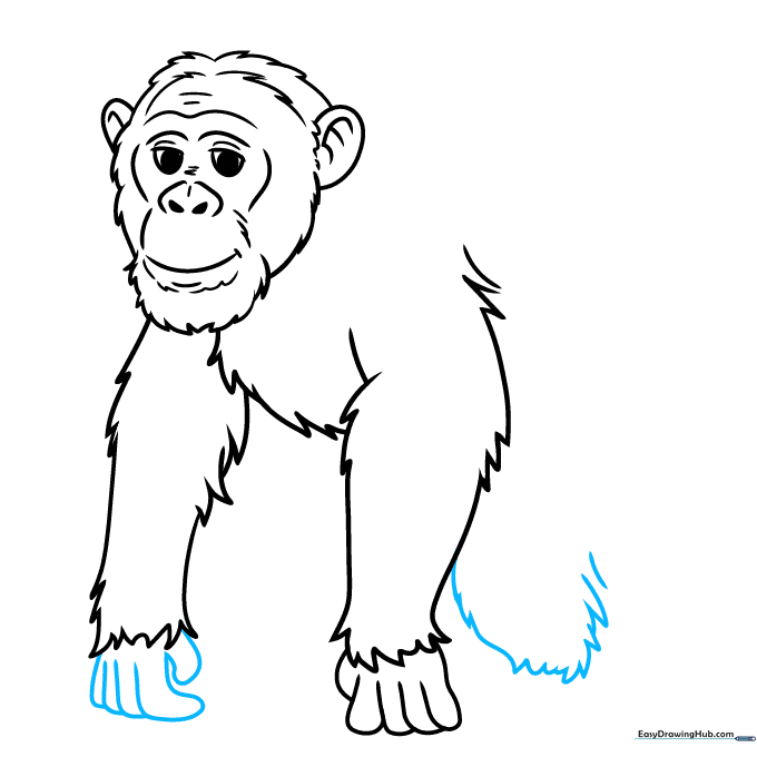 Drawing the second hand and beginning the rear leg of the chimpanzee.