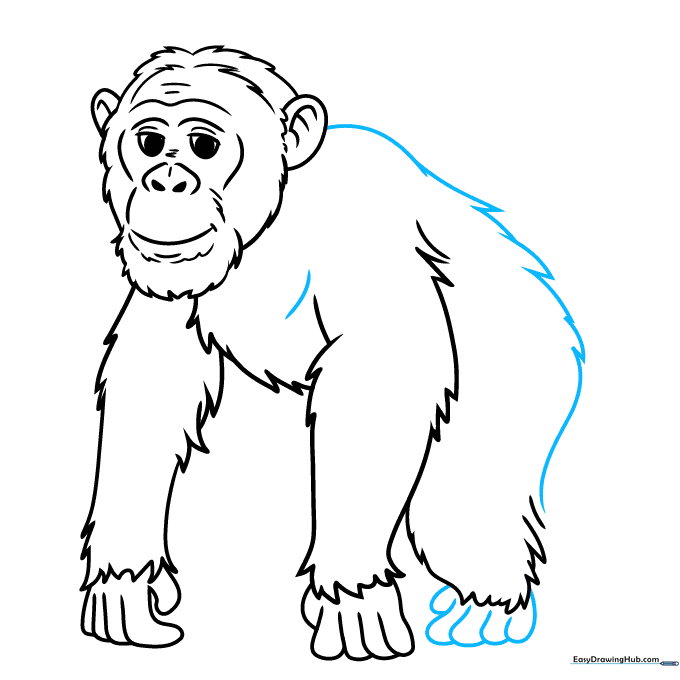 Adding details to the rear foot and back of the chimpanzee.