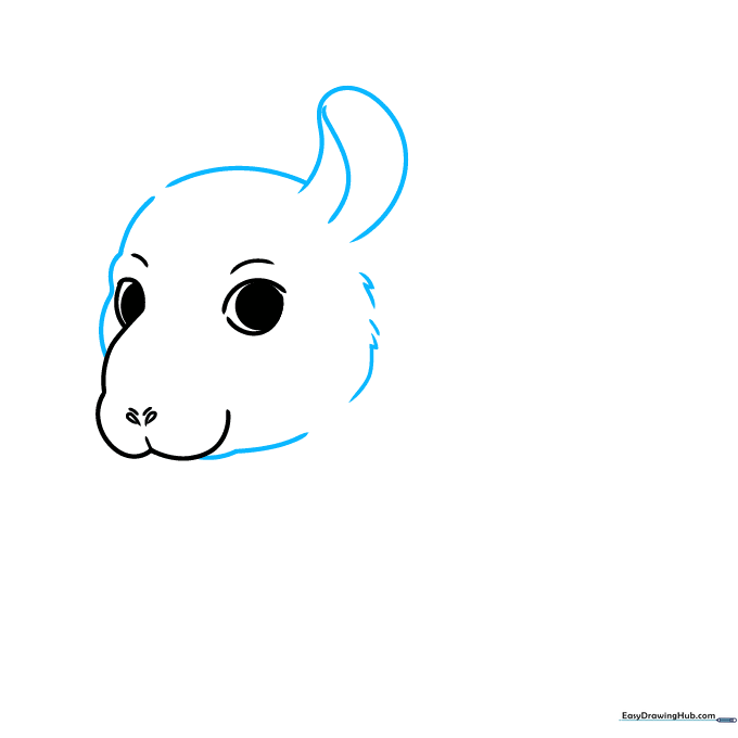 Drawing the outline of a chinchilla head with jagged fur lines and a single large ear.