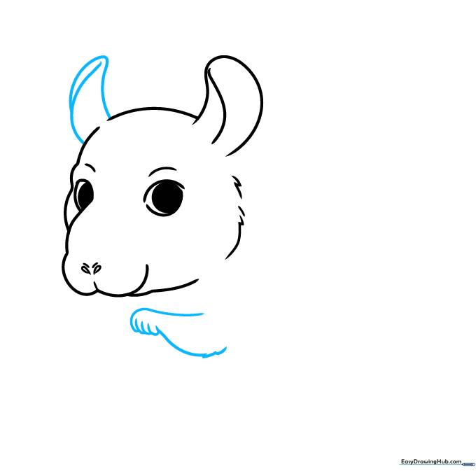 Adding a second ear and a small raised paw to the chinchilla sketch.