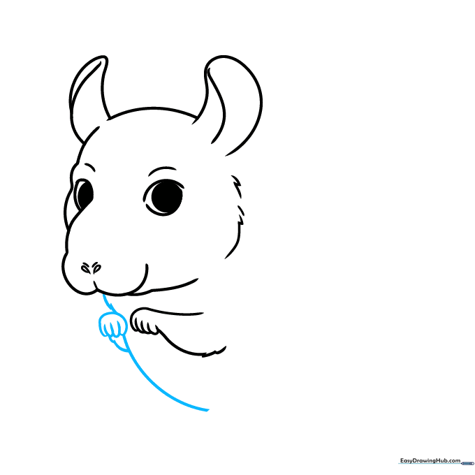 Sketching the rounded belly and the second foreleg of the chinchilla.